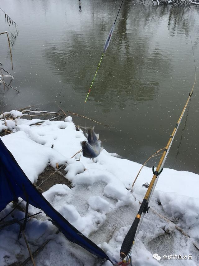 冬天钓鱼真实图片图片