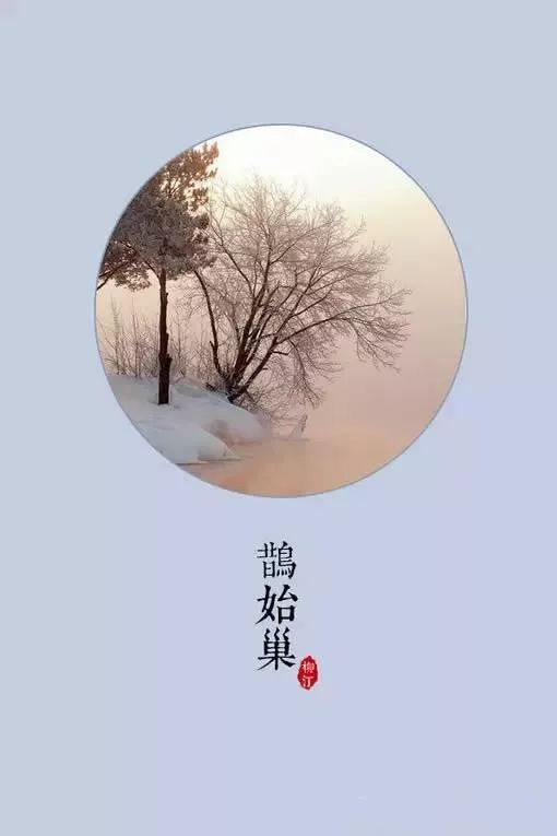 小寒至,喝茶养生,天寒人不寒