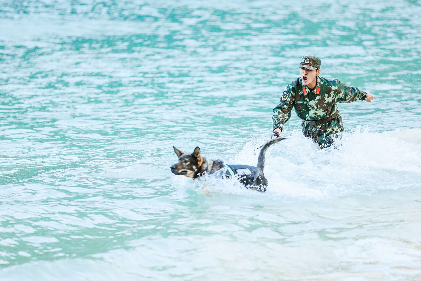 奇兵神犬昆龙图片