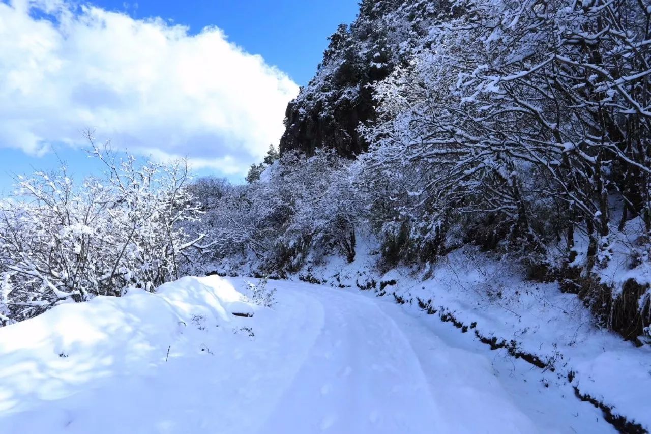 2018年的第一场苍山雪究竟有多美让新鲜出炉的美片告诉你