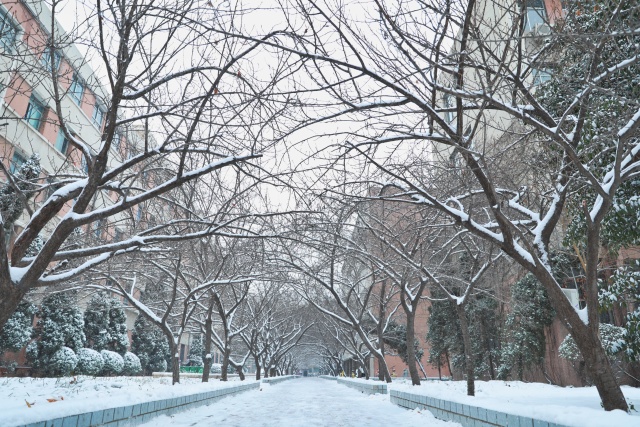 烟霏霏 雪霏霏图片