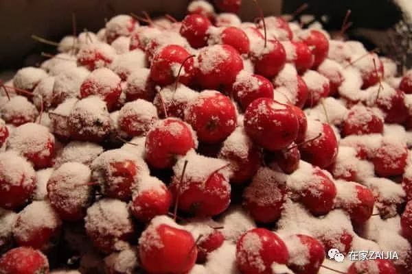 红薯雪中图片