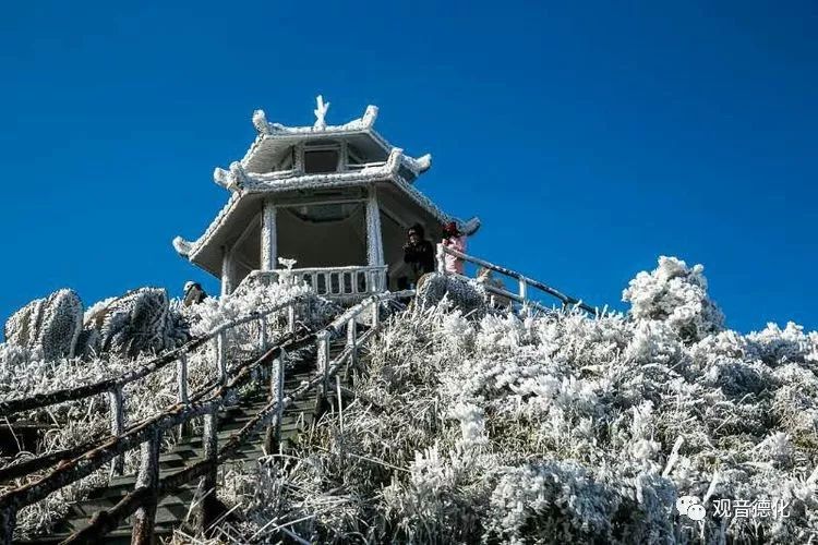 今起,德化降雨 大降溫!下週最低氣溫-6℃!霧凇/下雪