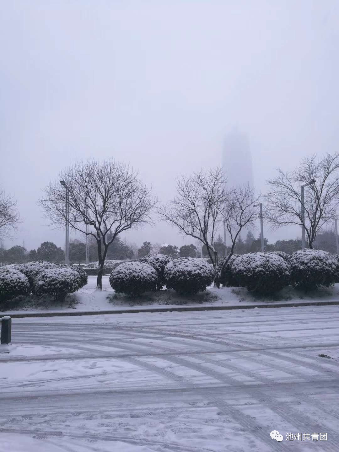 就等据说下雪后,兴奋的南方人和冷漠