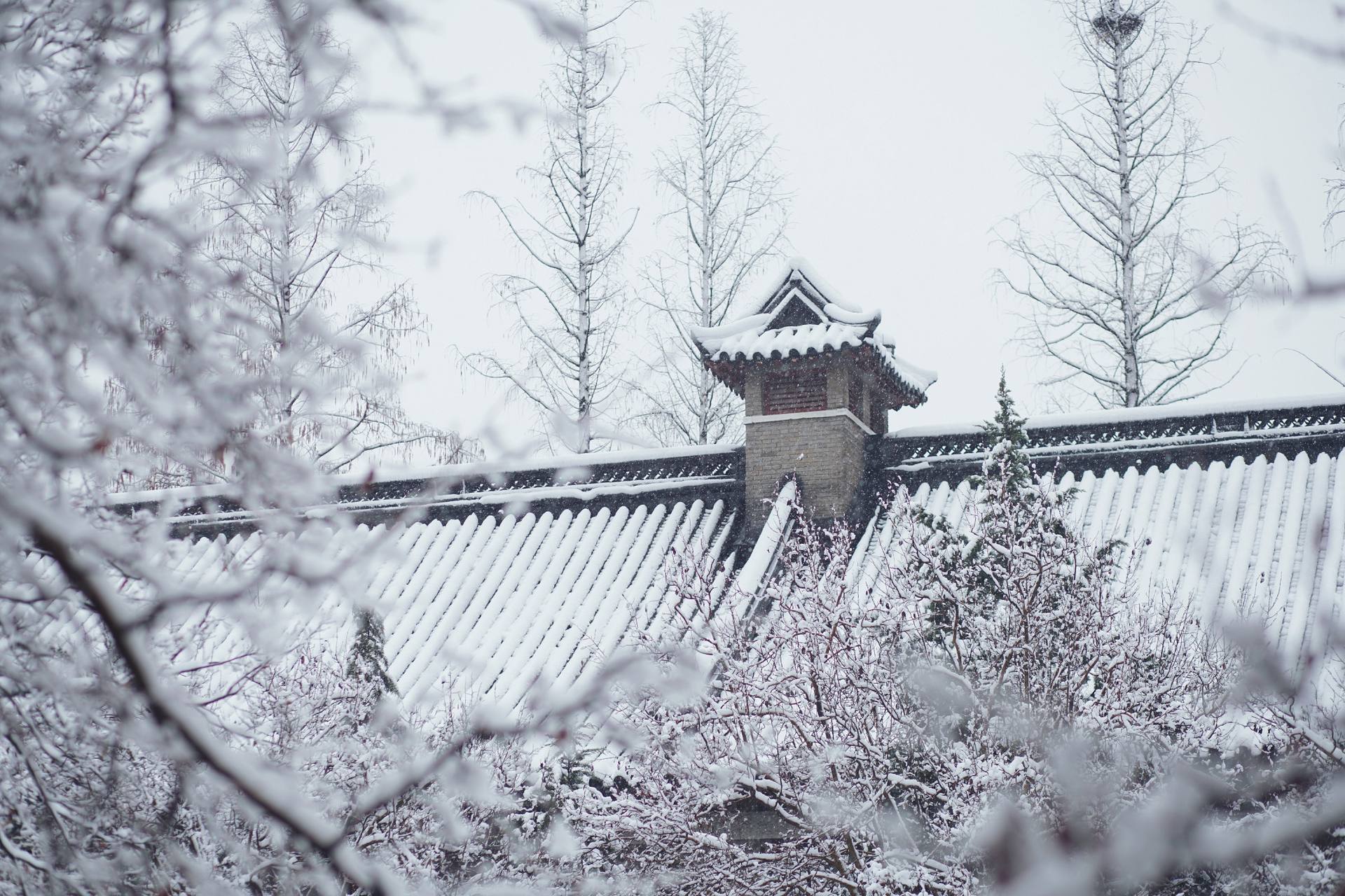 光影金陵夜初雪