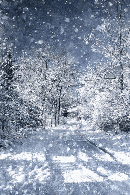 动态雪景图片大全下雪图片