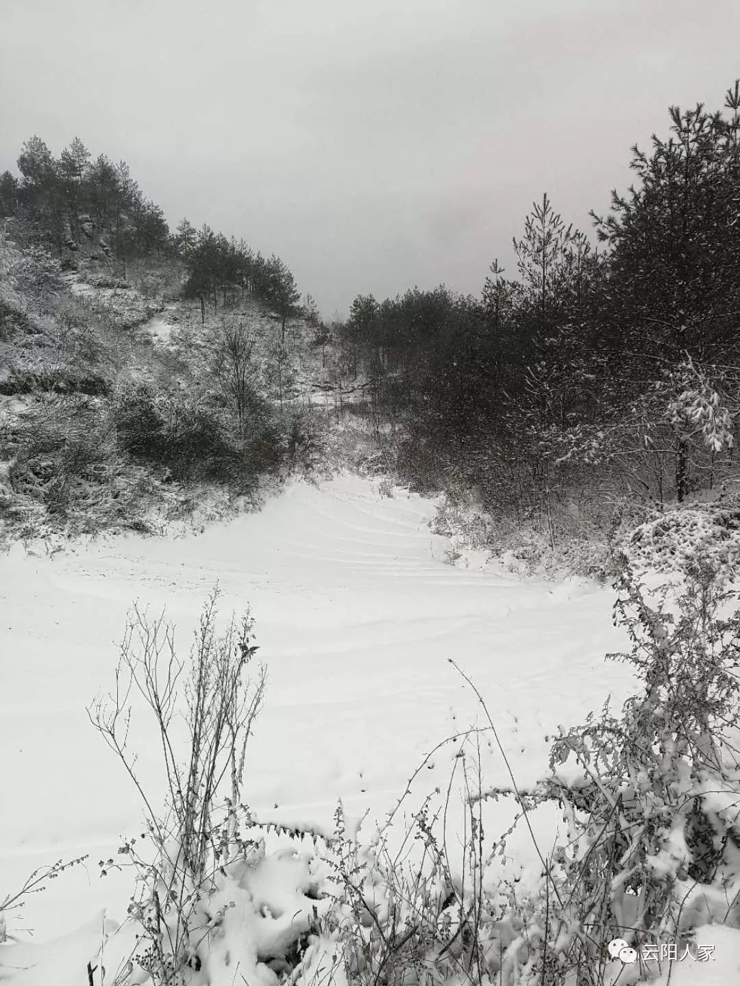 石门 票草 宝坪 栖霞宫也飘起了雪花 龙缸景区 堆