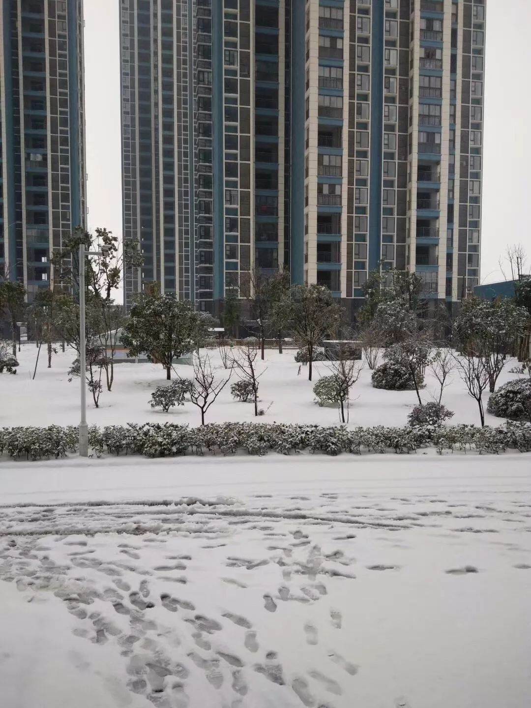 【头条】2018年初雪景观!应城人简直玩嗨了,要注意的是.