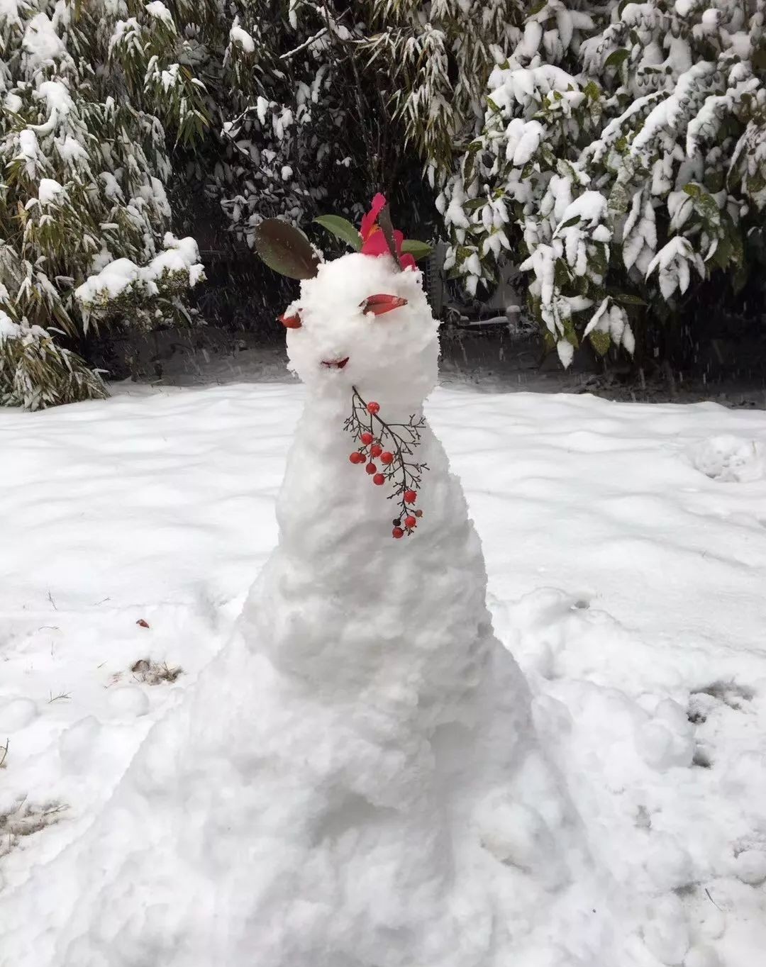 雪堆老虎图片