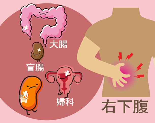 女性下腹疼痛位置图图片