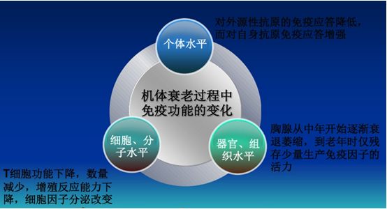 免疫系統衰老的後果 隨著年齡的增加,免疫功能下降是衰老最突出的特徵