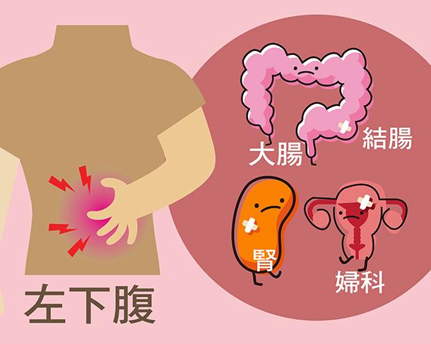 女性下腹三角区疼涨尿图片