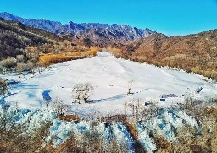 旅遊 正文 在延慶區張山營鎮玉皇廟村東, 竟然就有一片面積達100000㎡