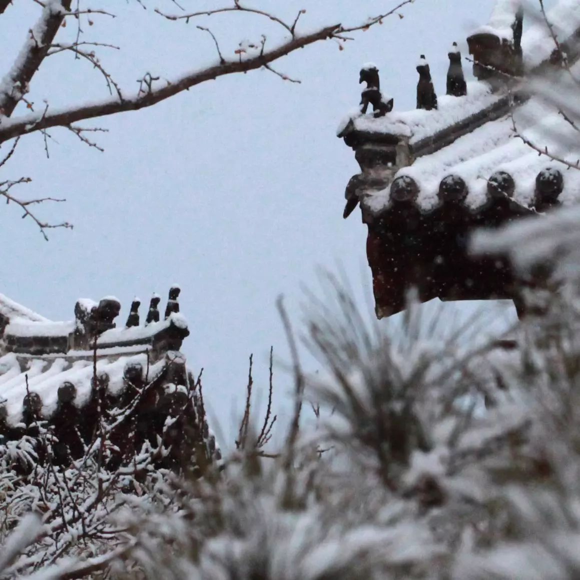 蓬莱阁的雪景图美呆了四海八荒绝无仅有