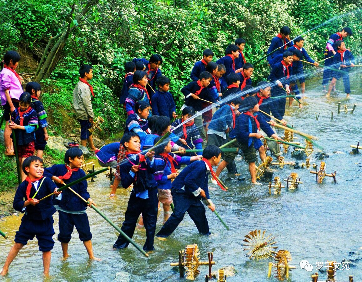 骆越民族的后裔