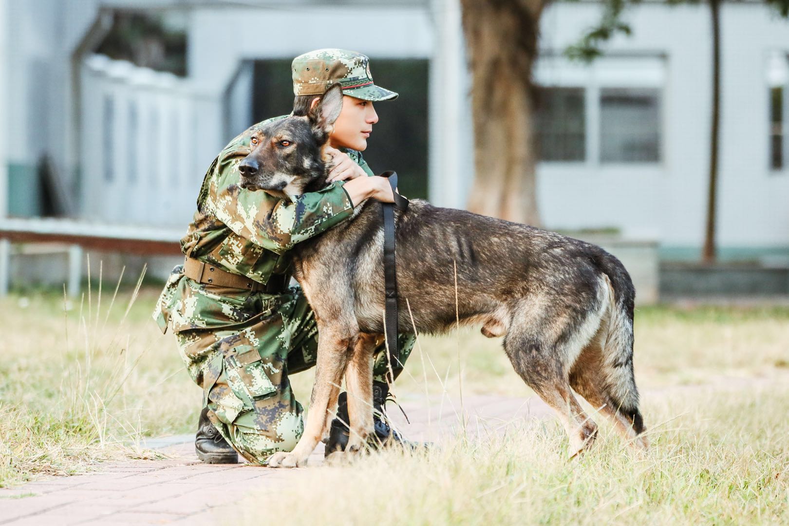 奇兵神犬昆龙图片