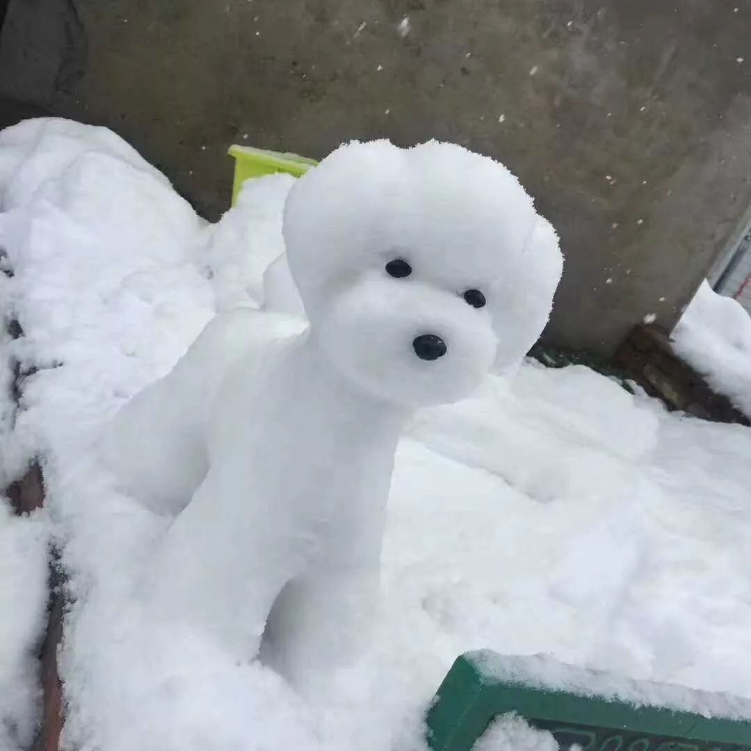 动物雪人图片大全图片