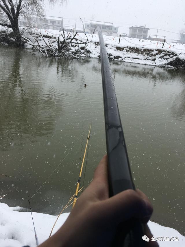 冬季钓鱼:下雪不能阻挡垂钓的步伐