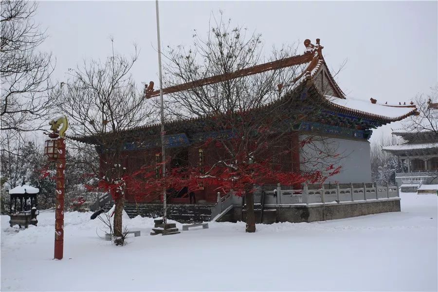 項城大雪之中的南頓故城,還挺美的!