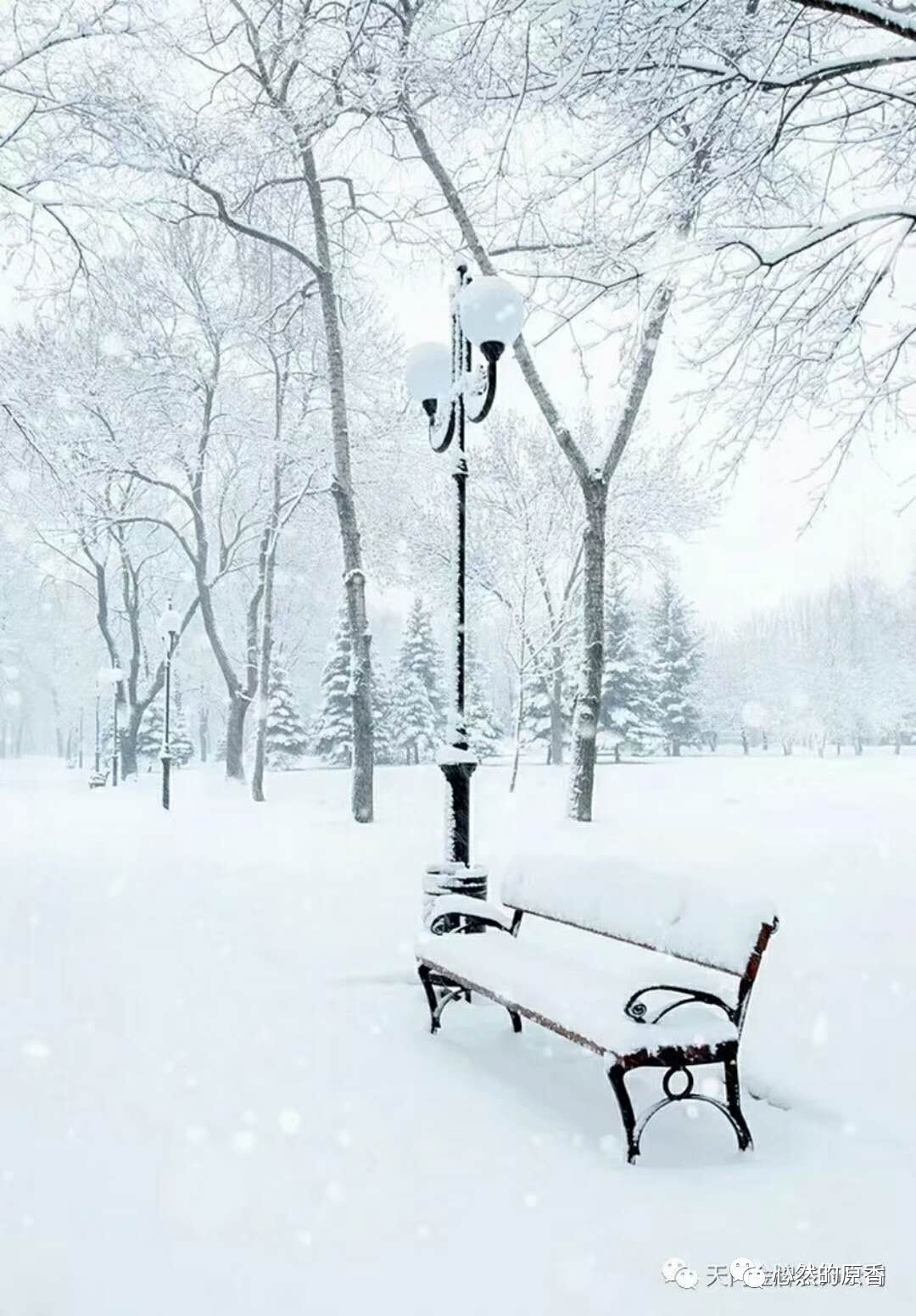 正是雪花飛舞時