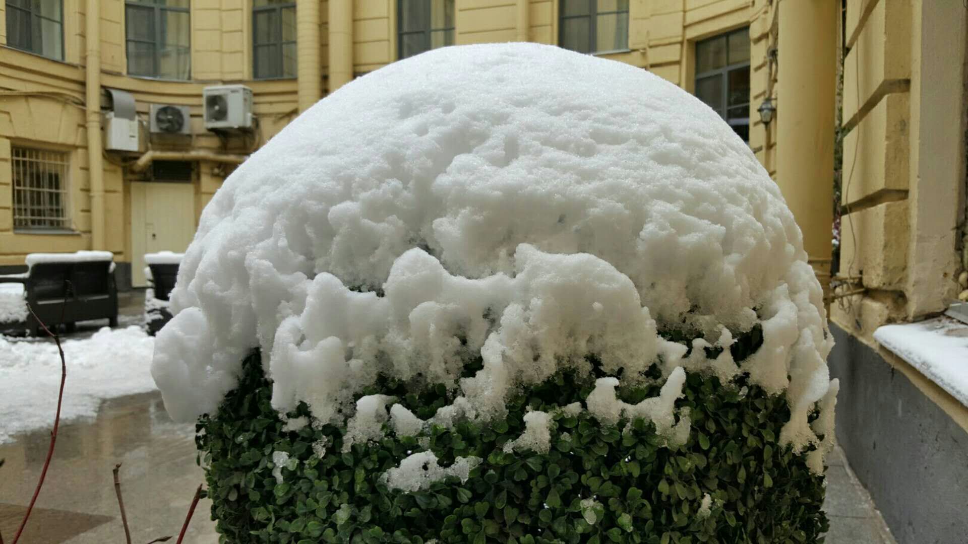 树枝被雪掩盖的现象,像雪球一样的多姿多彩