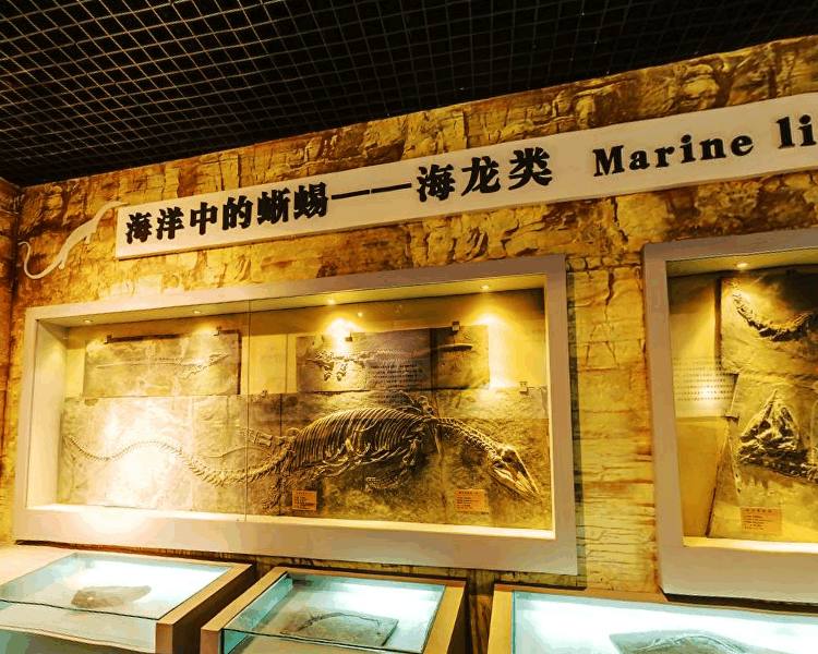 贵州地质博物馆内容图片