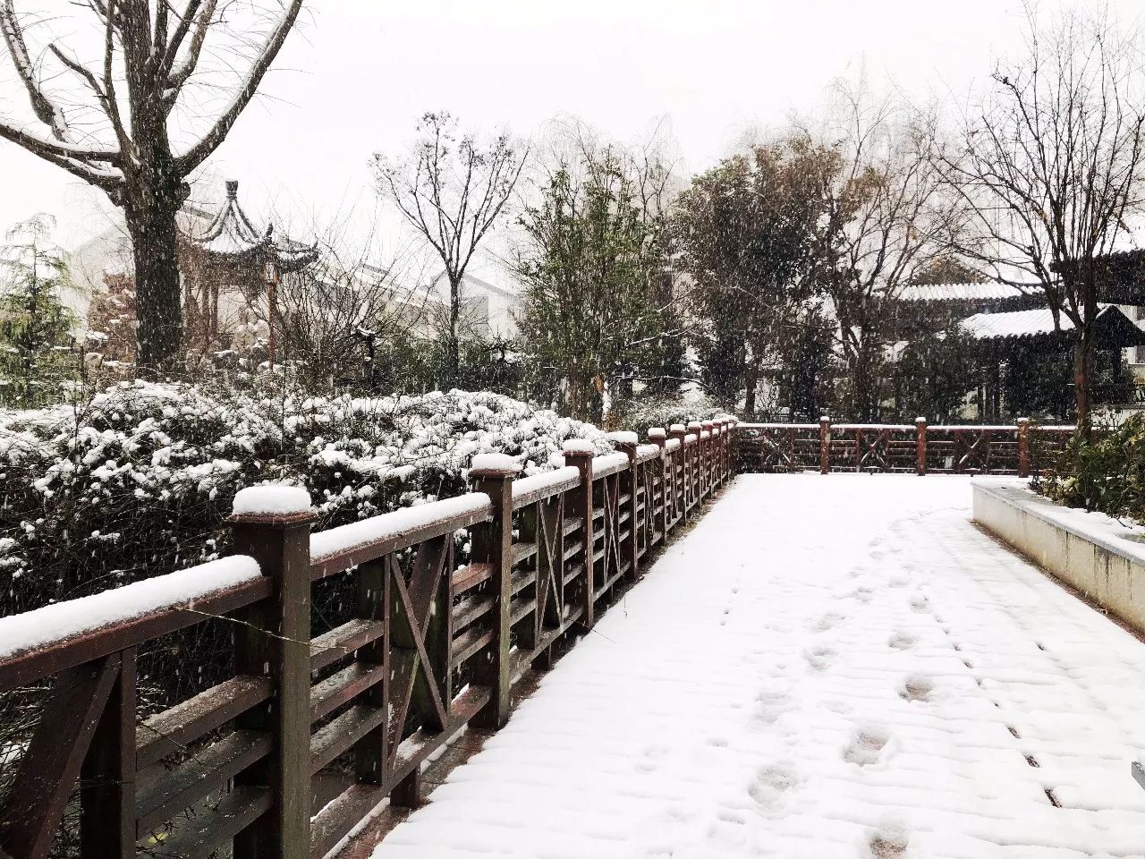 在粉墙黛瓦的御苑里踏雪赏院