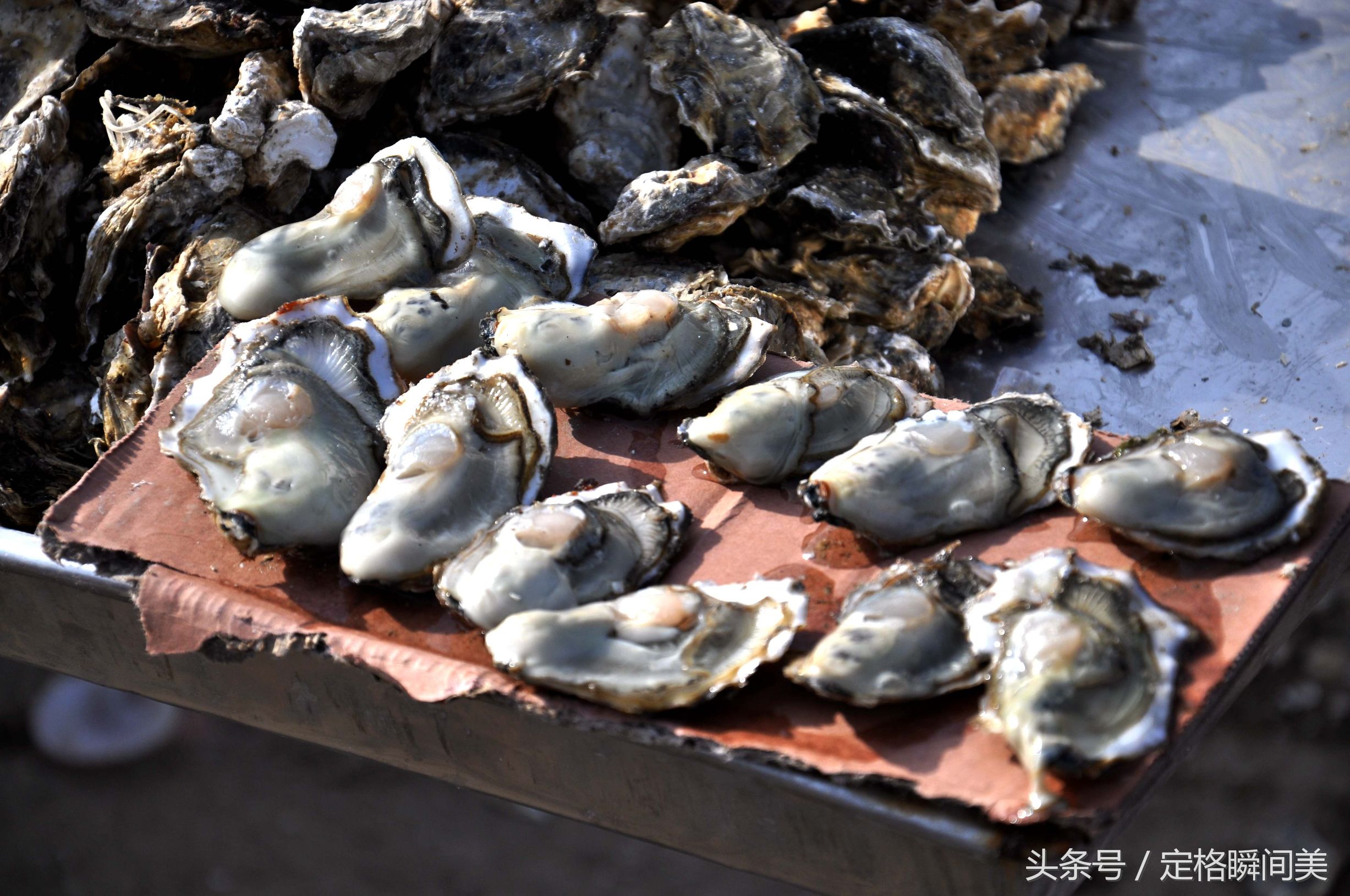 图为:集市上,售卖的肥硕海蛎子,冬天里,海蛎子肉嫩味鲜,吃过的男人,都