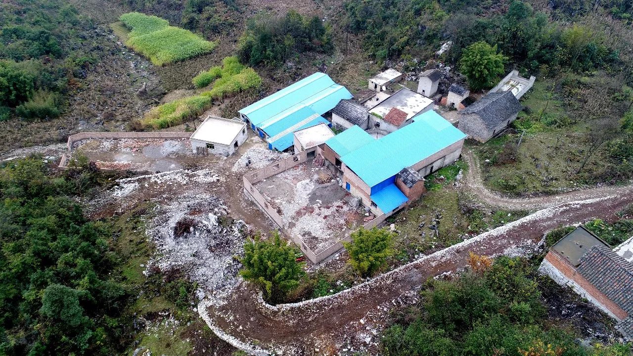 长寨街道生联村苏永鸿昔日放牛娃今日变牛人