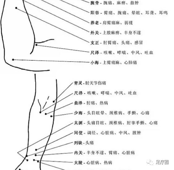 伏兔血海足三里图片