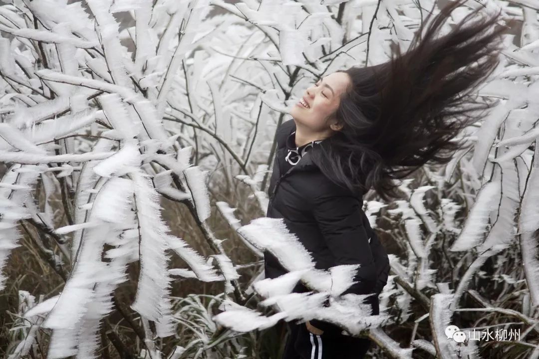 全國都在瞞著廣西下雪?柳州冰雪美圖告訴你咱也有冬天!而且接下來……