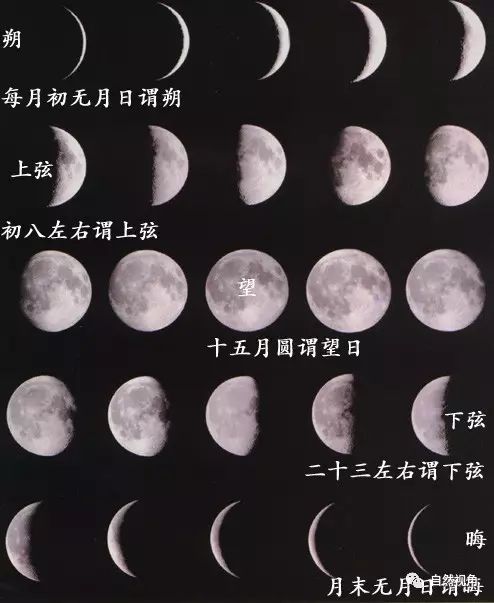 月亮七宫图片