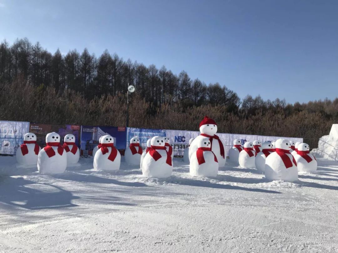 长春净月潭滑雪场是长春市内唯一具有中级滑雪道的滑雪场,2001年投入