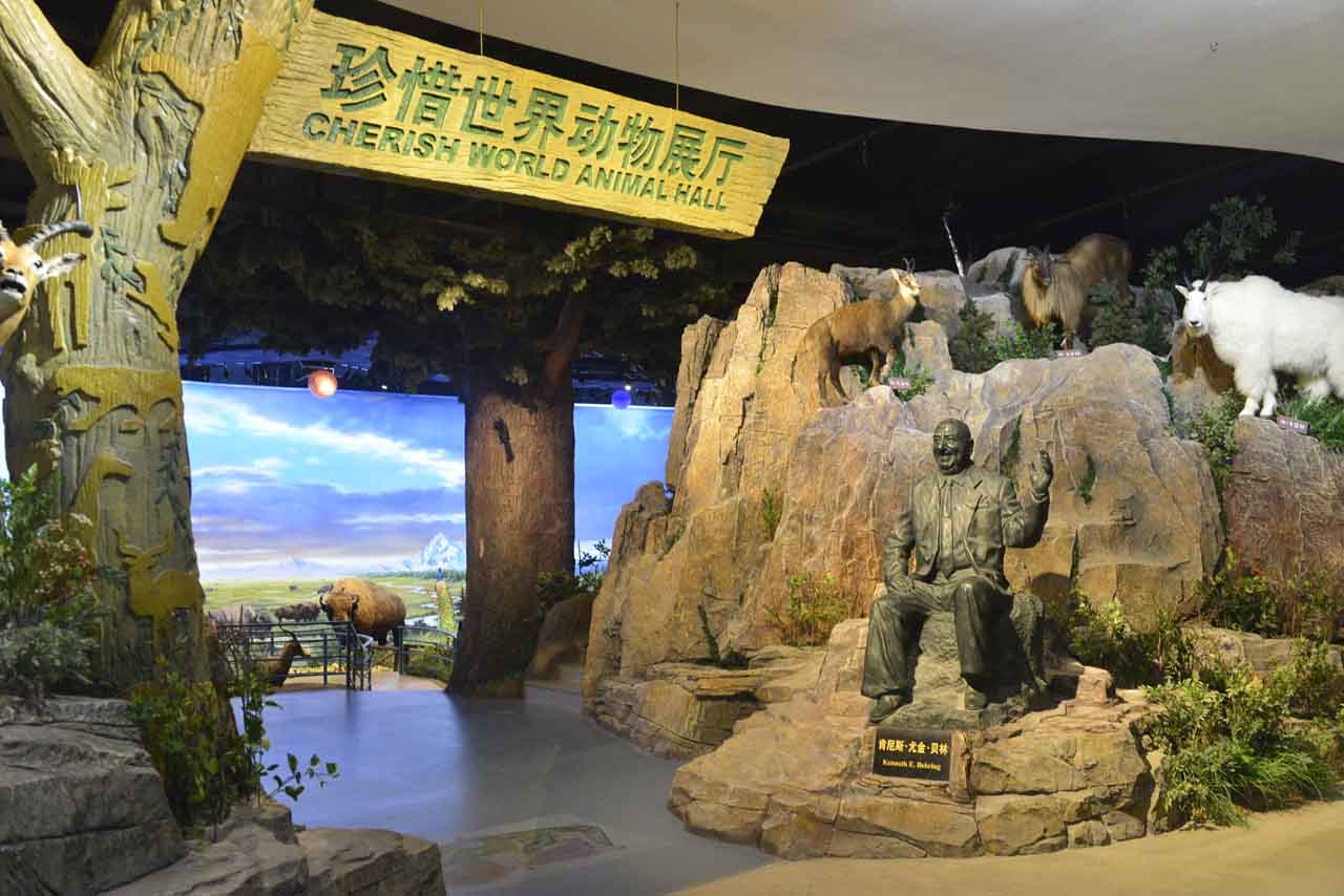 陕西自然博物馆门票图片