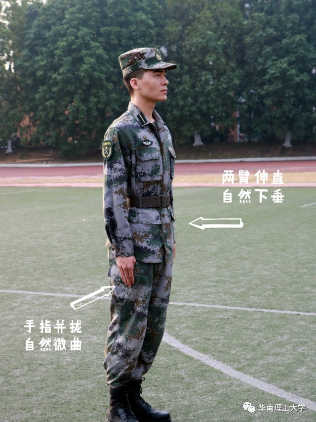 军姿的标准姿势图片图片