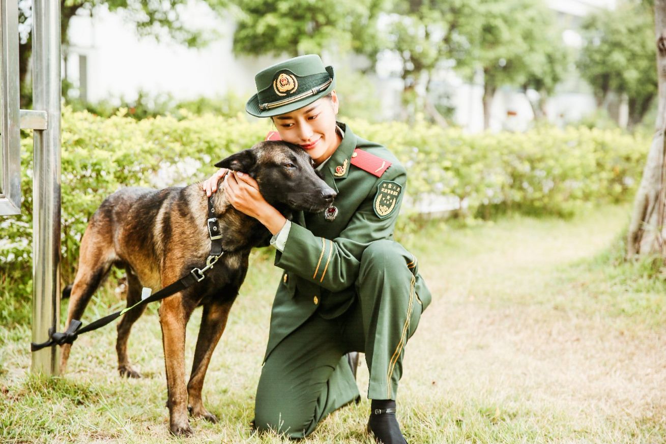 奇兵神犬熱播收官給行業帶來了哪些啟示總導演單丹霞說出了這些秘訣