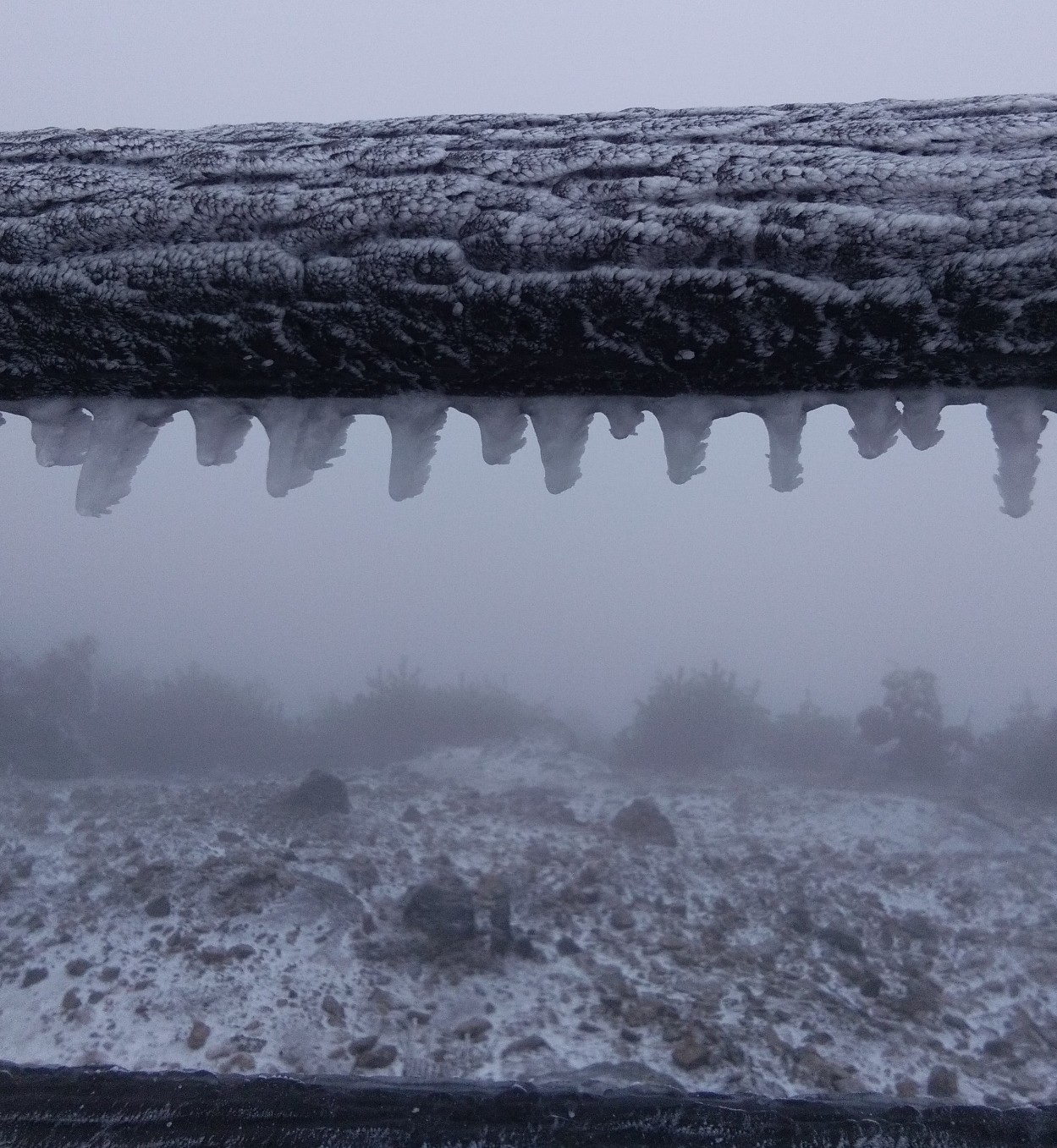 台州下雪了