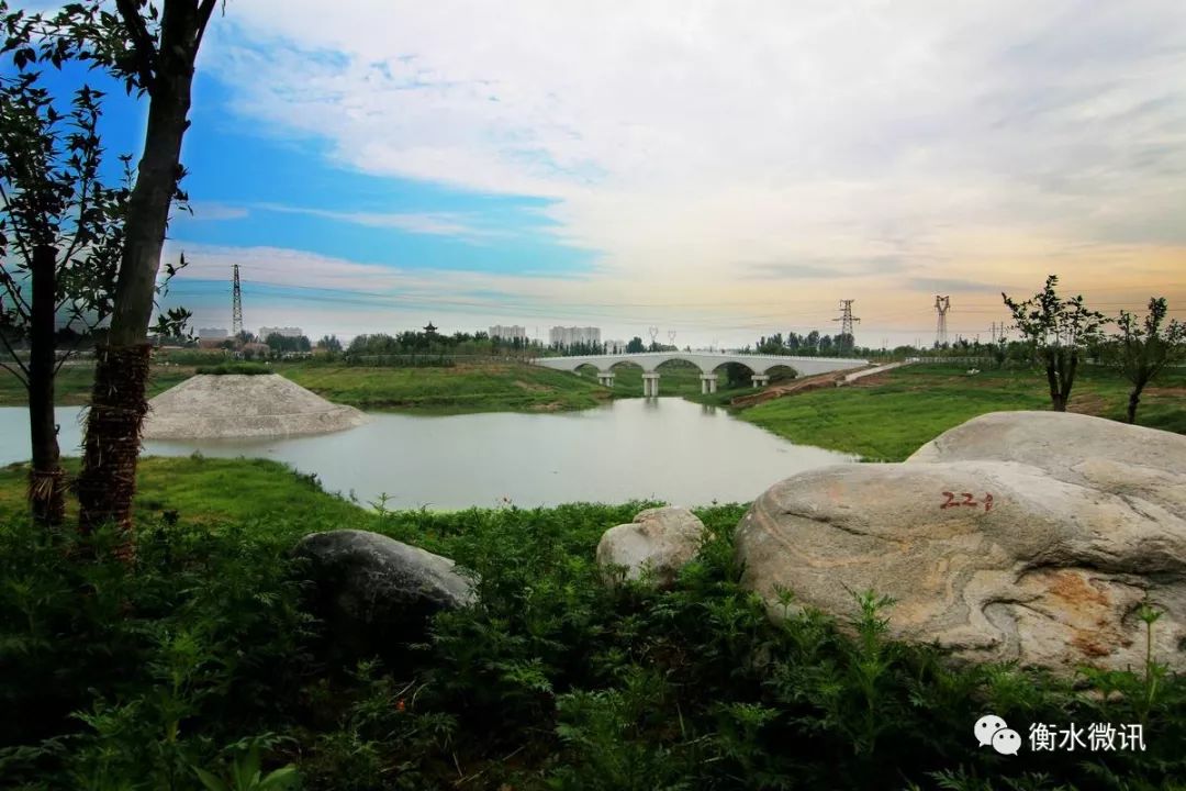 安平縣漢王公園棗強縣移民文化園棗強縣儒園棗強縣南湖公園饒陽縣沱陽