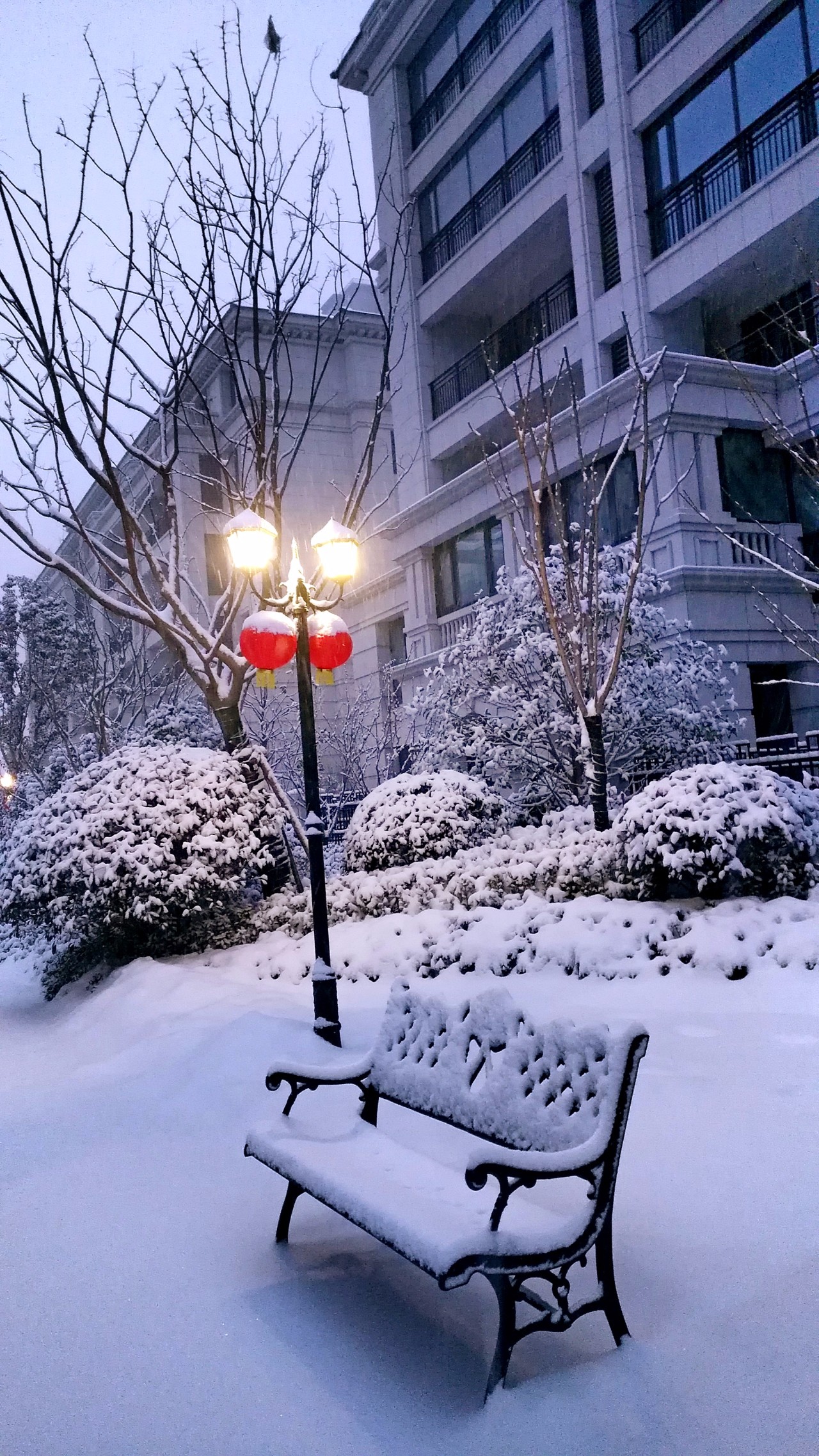 窗外雪景真实图片