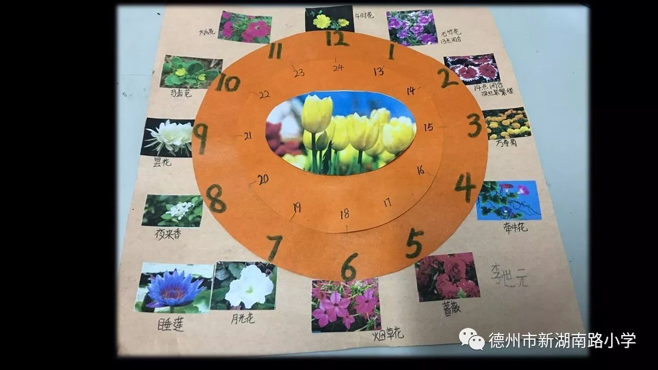 24小时花钟图片制作图片