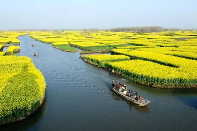 興化市委全委會吹響全域旅遊示範區首創必成衝鋒號