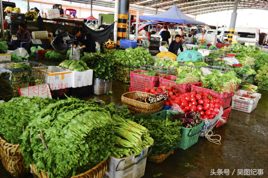 贵阳百万人的大菜场,你知道这里蔬菜与你在城里买的蔬菜差价吗?