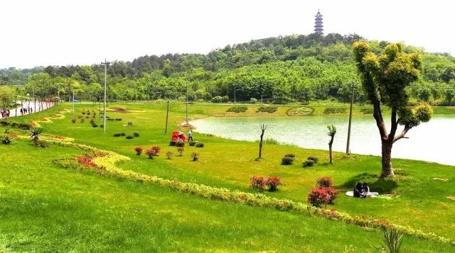 平山森林公園 南京平山森林公園,山