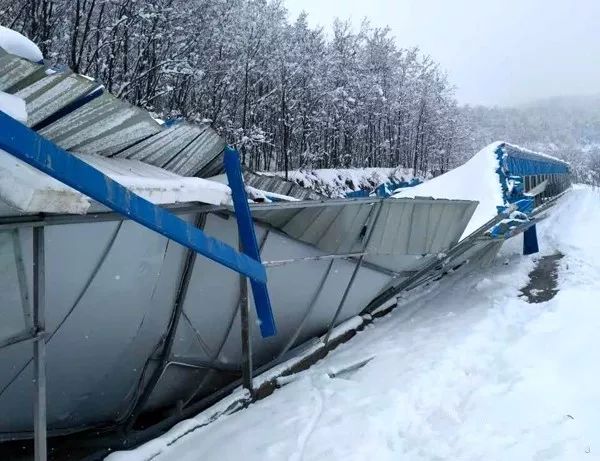 下雪导致彩钢房塌了图片