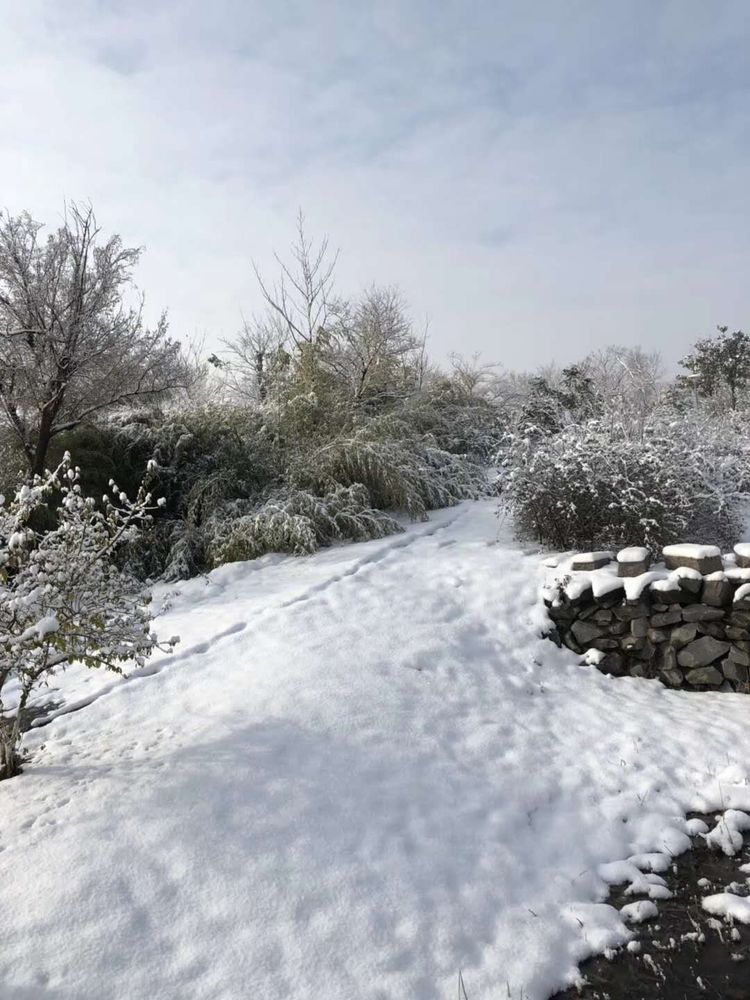 原創我的家鄉下雪了