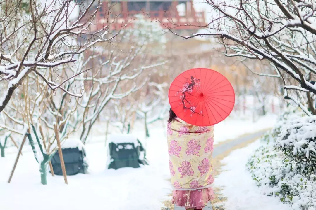 雪景美人更美图片