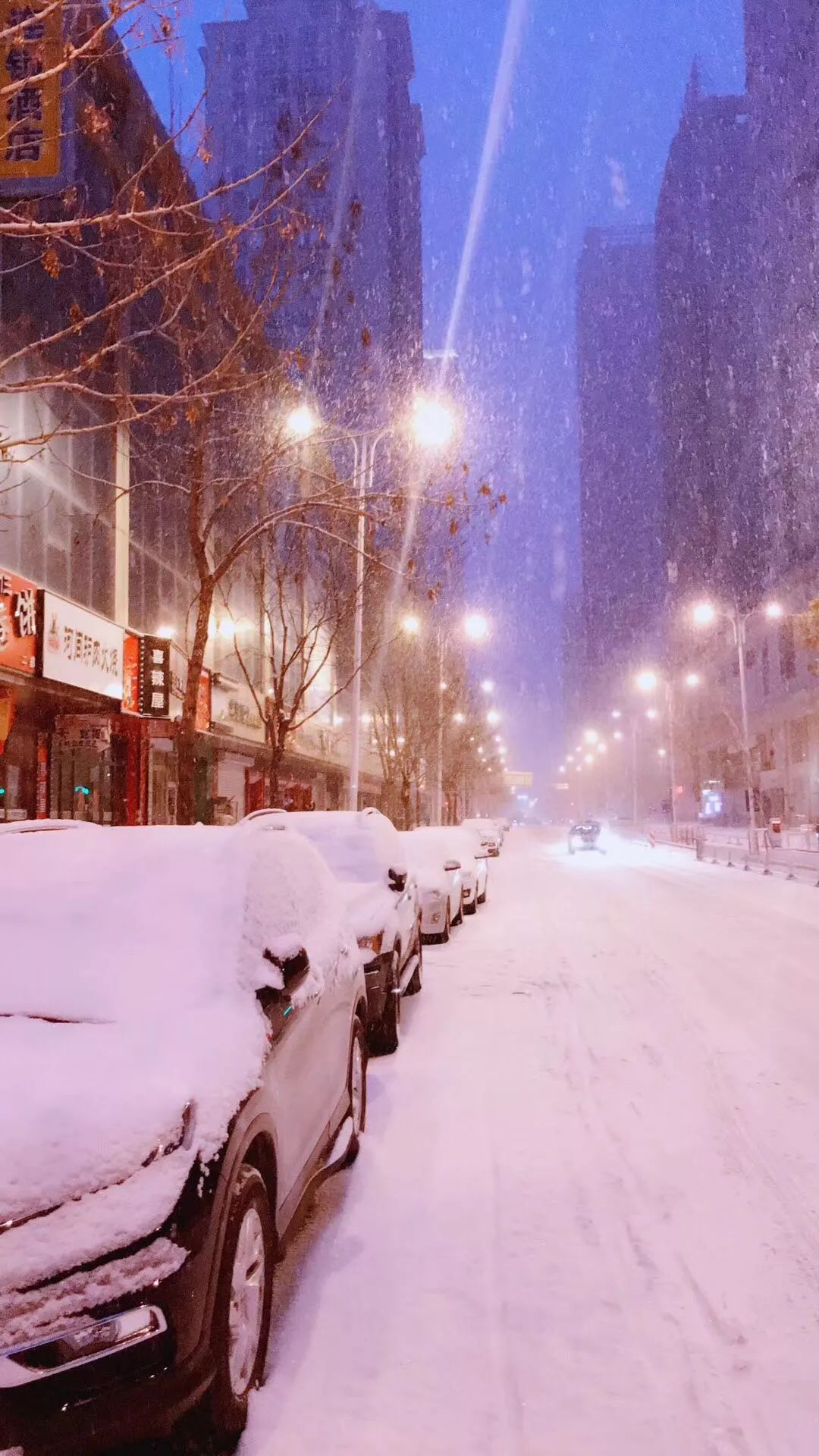 终于下雪了!路滑,迟到,降温…也阻挡不了我们对沈阳初雪的爱!