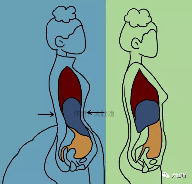 穿上束胸衣之後腹腔內本已經十分擁擠孩子在母親的子宮裡基本上就是