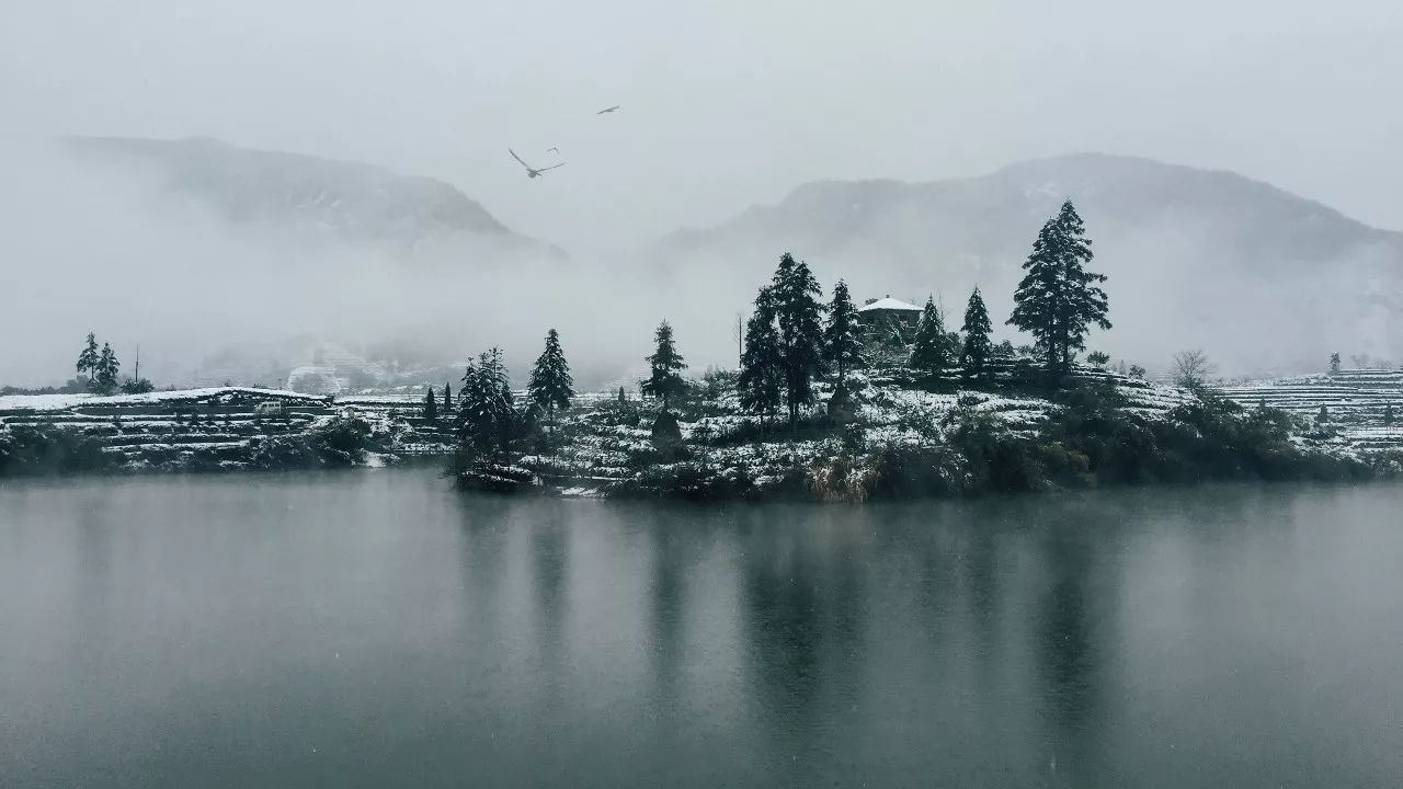 松阳四都雪景图片