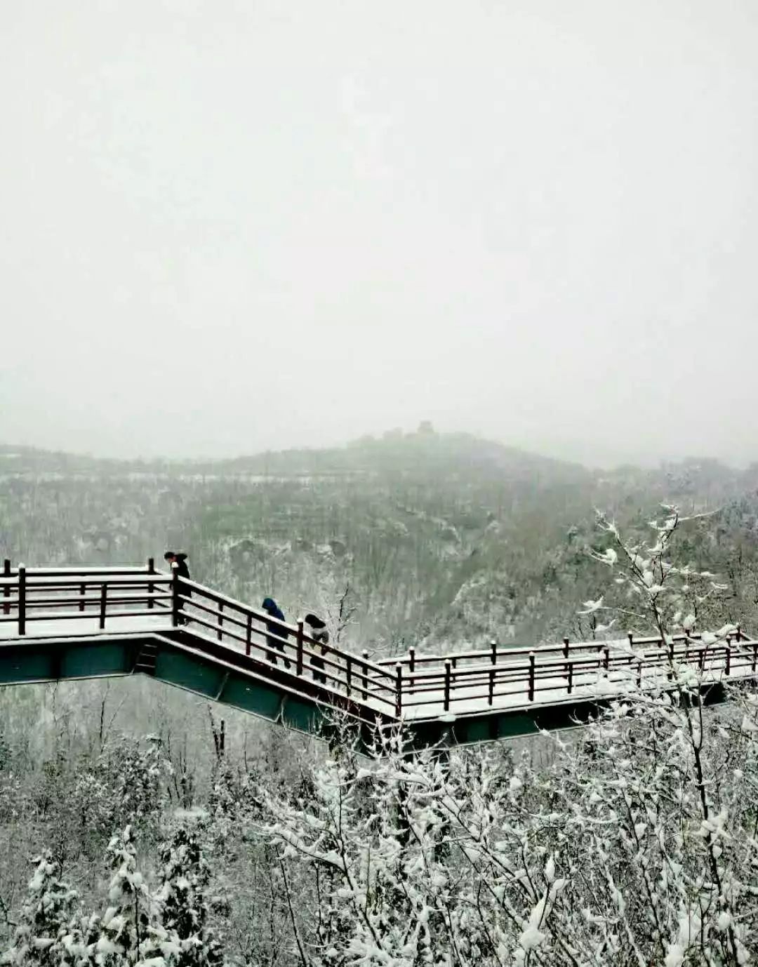 延安凤凰山雪景—银色的世界美呆了!